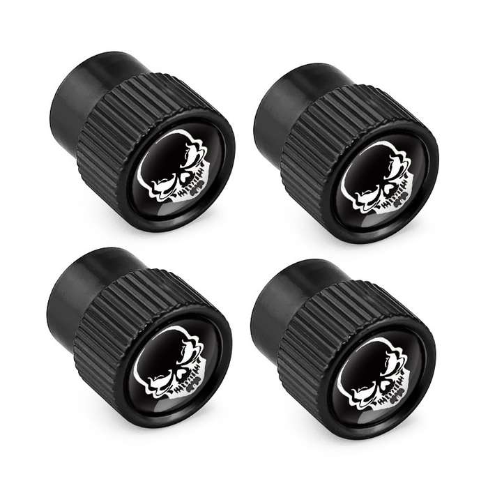 4pcs /Set Skeleton Car Tire Universal Aluminum Valve Cap(Silver)