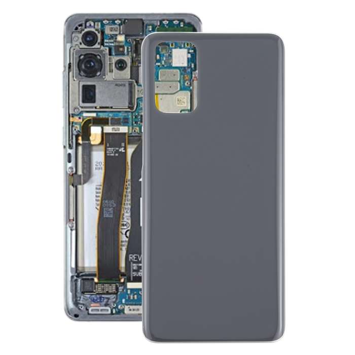 For Samsung Galaxy S20+ Battery Back Cover (Blue)