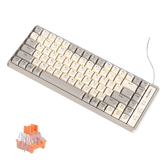 LANGTU GK85 85 Keys Gold Shaft Mechanical Wired Keyboard. Cable Length: 1.5m, Style:Glowing Version