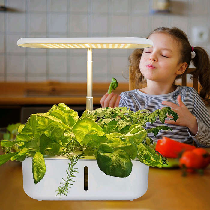 EU Plug - LED Plant Growth Light Smart Hydroponic Plant Machine Full Spectrum Indoor Fruit and Veget