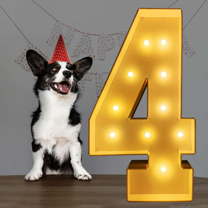 #2 - Unique 2.3ft Giant Balloon Frame Marquee Light Up Numbers with Extra Warm Light Bulb for Uninte