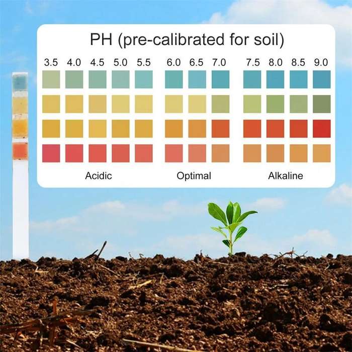 #A - Garden Soil pH Test Kit 100 Strips 3.5-9.0 pH Range Accurate Soil Testing Indoor Outdoor Easy L