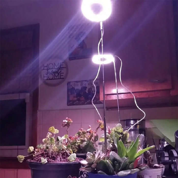 3 Heads - 1 To 3 Angel Ring USB Plant LED Light with 3 Lamp Heads 2/4/8 Hours Switch Timer 4 Level B