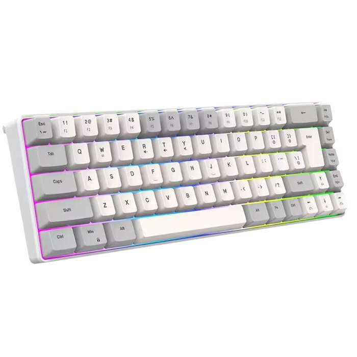 Grey/White - Y-FRUITFUL K701 68 Keys Mechanical Keyboard Type-C Wired RGB Backlit Double Injection K