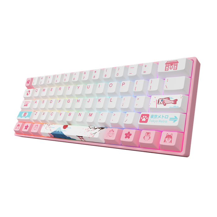 AKKO 3061S Tokyo R2 Mechanical Keyboard 61 Keys Wired Hot Swappable Gateron Prelubricate Switch RGB