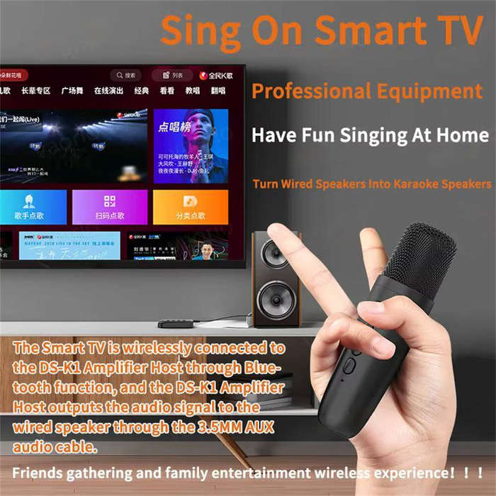Black - DSK1 Wireless Karaoke Companion Bluetooth 5.3 Dynamic Microphone KTV DSP Mixer System 3.5MM