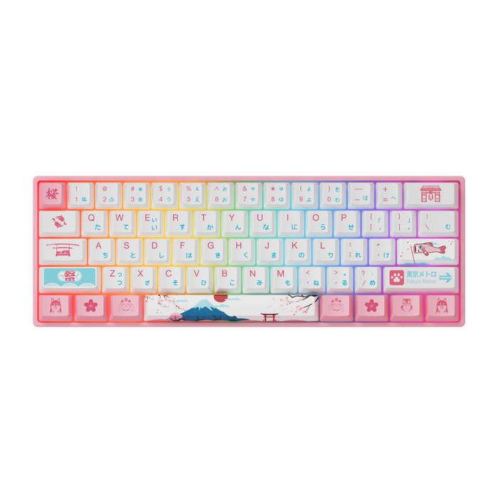AKKO 3061S Tokyo R2 Mechanical Keyboard 61 Keys Wired Hot Swappable Gateron Prelubricate Switch RGB
