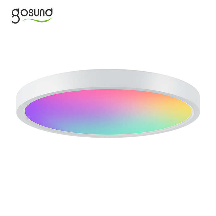 30cm - Gosund LB12 24W LED Smart Ceiling Light 30cm Wifi Smart Celling Lamp RGB+CW 1920LM Remote Con