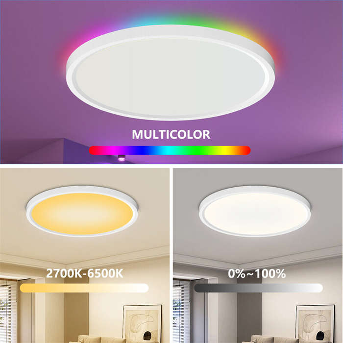 30W Smart LED Ceiling Light Dimmable Ceiling Light Fixture 2700K~6500K, RGB Ambient Light Work with