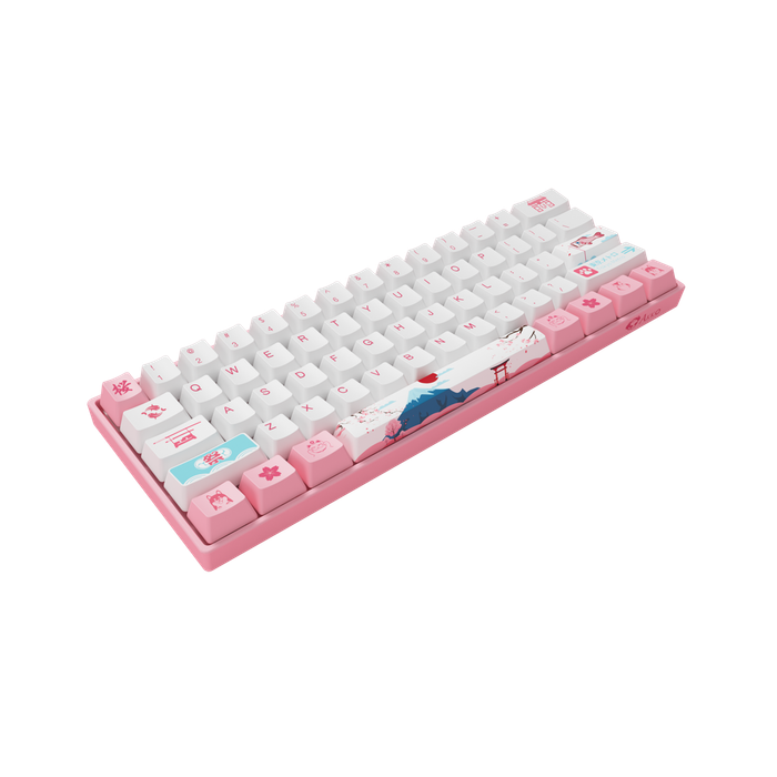 AKKO 3061S Tokyo R2 Mechanical Keyboard 61 Keys Wired Hot Swappable Gateron Prelubricate Switch RGB