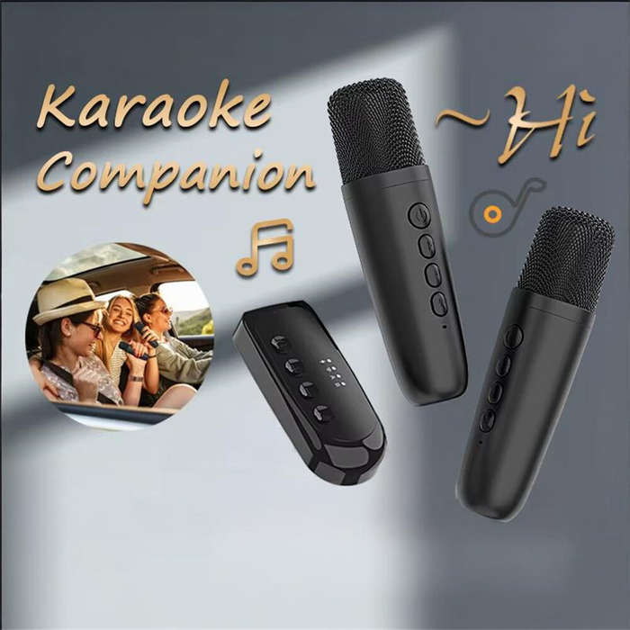 Black - DSK1 Wireless Karaoke Companion Bluetooth 5.3 Dynamic Microphone KTV DSP Mixer System 3.5MM