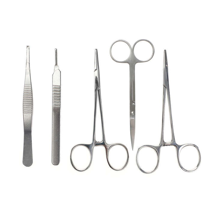 Stainless Steel Hemostatic Artery Locking Clamp Surgical Forceps Tweezers with B