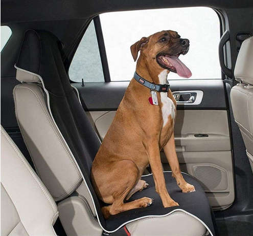 1 seater - Universal Waterproof Car Seat Cover Neoprene Non-Slip Bucket Seat Dog Car Seat Protector