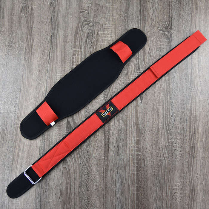 L - Gym Belt Weightlifting Bodybuild Squat Support Waist Belt Muscle Protection Belt