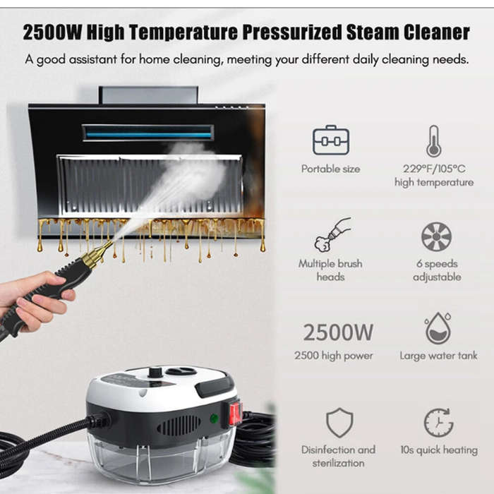 2500W High Temperature Steam Cleaner 220V EU Plug High Pressure Sterilization for for Home Use Car A