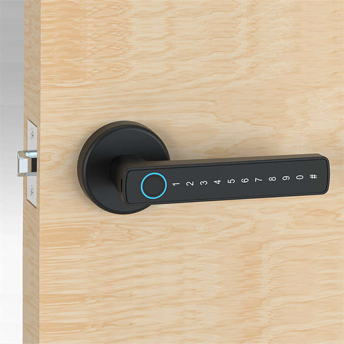 Tuya BLE Smart Door Lock Fingerprint Password Key APP Unlock Home Security Anti-theft Locks Wire-fre