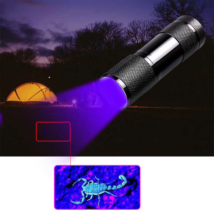 Black - BIKIGHT U01 9x LED Violet Light Multifunction UV LED Flashlight Fluorescence Detection Pen A