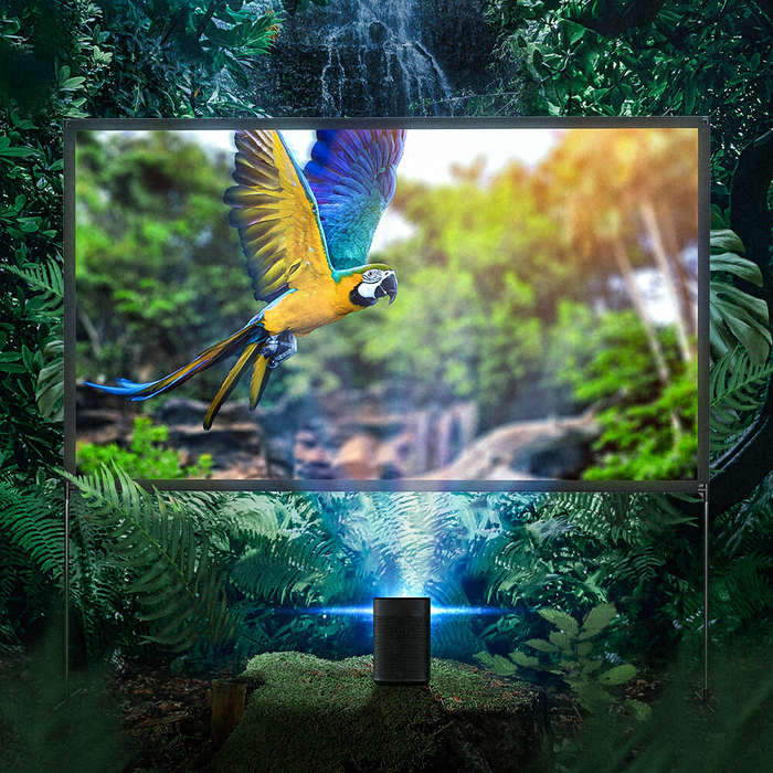 BlitzWolf BW-VS6 80/100-Inch Projector Screen with Stable Stand 4K Resolution 16:9 Foldable Anti-Cre