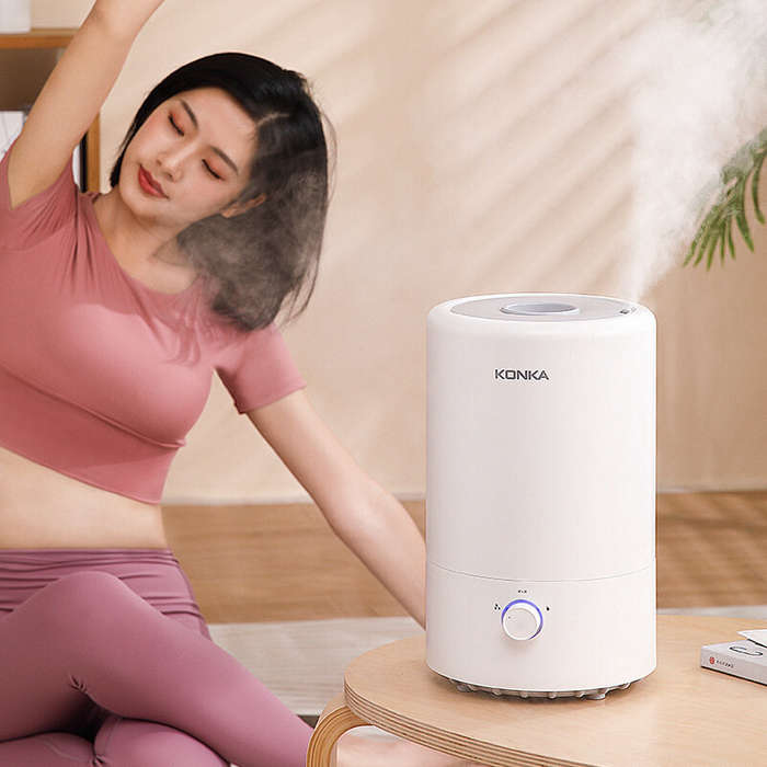 #A - Humidifier 250ML/H Humidification 4L Large Capacity Fog Machine Adding Water for Home Office Hu