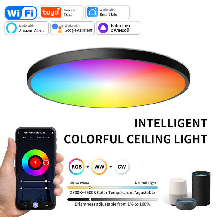 White - Elfeland 24W 30cm Smart LED Ceiling Light RGB+White Light WiFi APP & Voice Control 3000K~650
