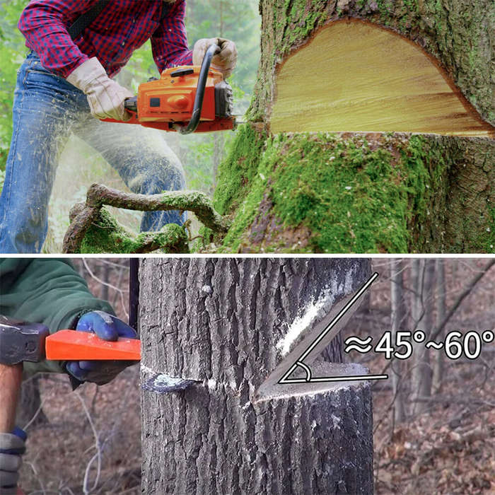 3pcs - 3Pcs Felling Wedges Plastic Chainsaw Wedges Wear Resistant Tree Cutting Wedges Logging Suppli