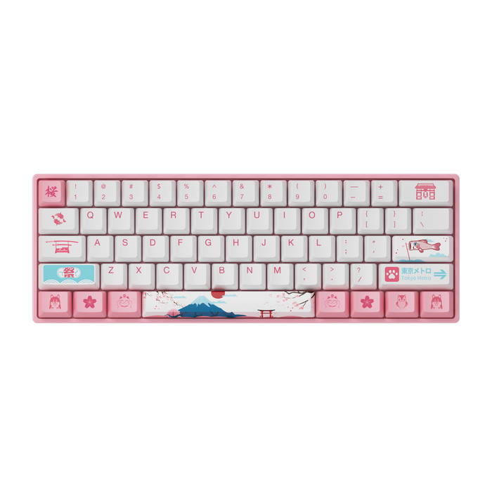 AKKO 3061S Tokyo R2 Mechanical Keyboard 61 Keys Wired Hot Swappable Gateron Prelubricate Switch RGB