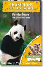 Panda Bears - Champions Of The Wild - Panda Bears / Koalas In Association With Discovery Channel