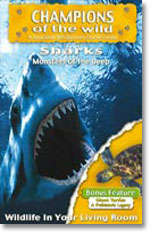 Sharks - Champions Of The Wild - Sharks / Giant Turtles In Association With Discovery Channel ALL