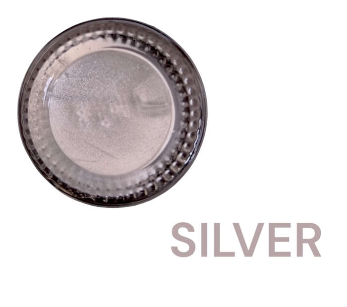 Jru Vehicle Touch Up Paint Repair Kit - Silver