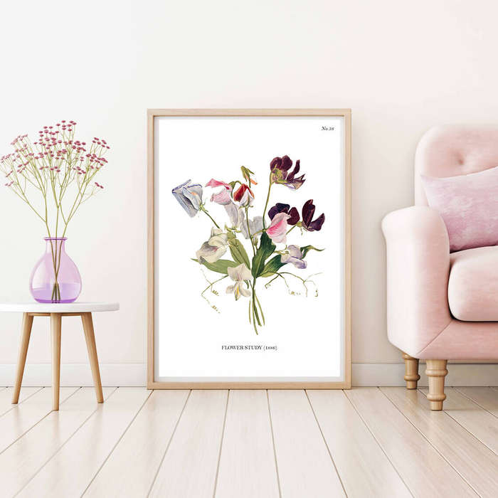 Flower Study Botanical Art Print by Mary Vaux Walcott