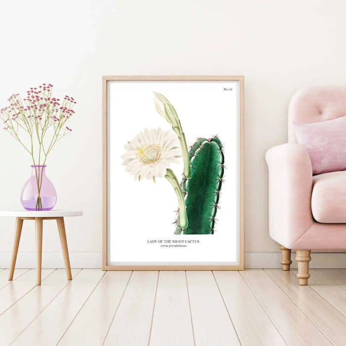 Lady of the Night Cactus Botanical Art Print by Mary Vaux Walcott