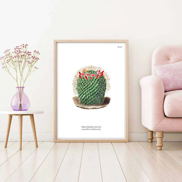 Pincushion Cactus Botanical Art Print by Mary Vaux Walcott