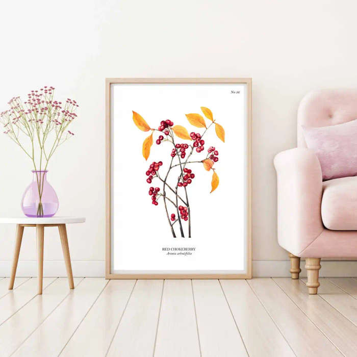 Red Choke Berry Botanical Art Print by Mary Vaux Walcott