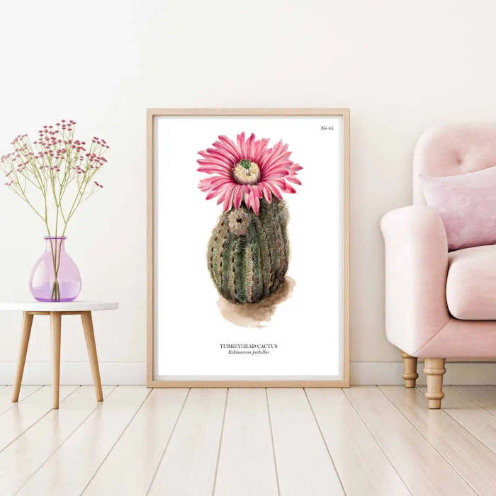 Turkeyhead Cactus Botanical Art Print by Mary Vaux Walcott