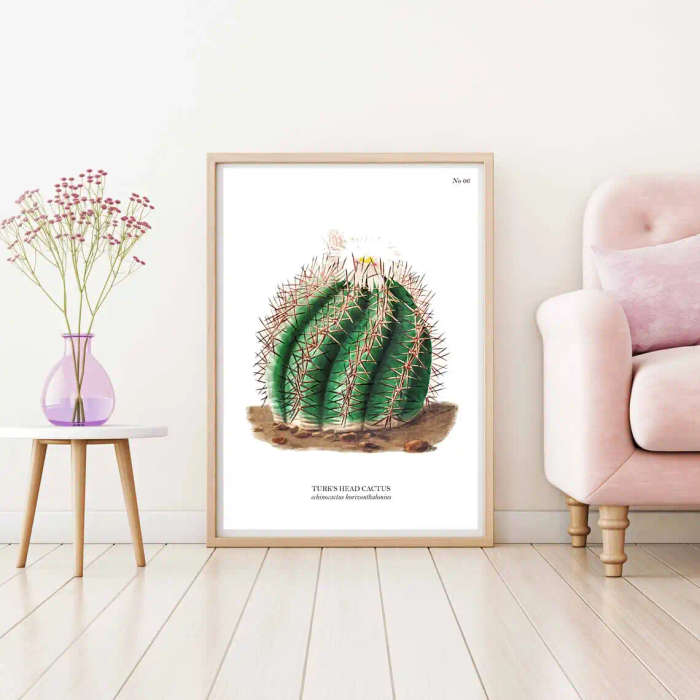 Turks Head Cactus Botanical Art Print by Mary Vaux Walcott