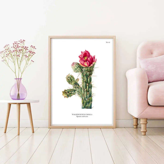 Walkingstick Chola Botanical Art Print by Mary Vaux Walcott