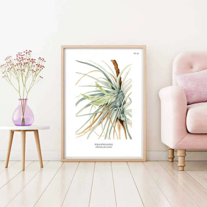Wild Pineapple Botanical Art Print by Mary Vaux Walcott