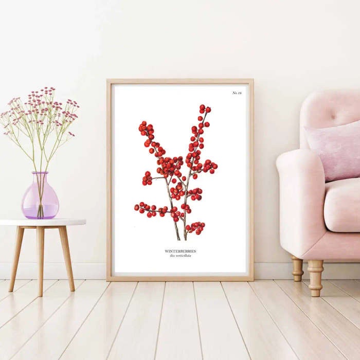 Winterberries Botanical Art Print by Mary Vaux Walcott