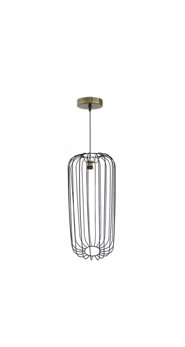 Wire Frame Pendant Light | FR23