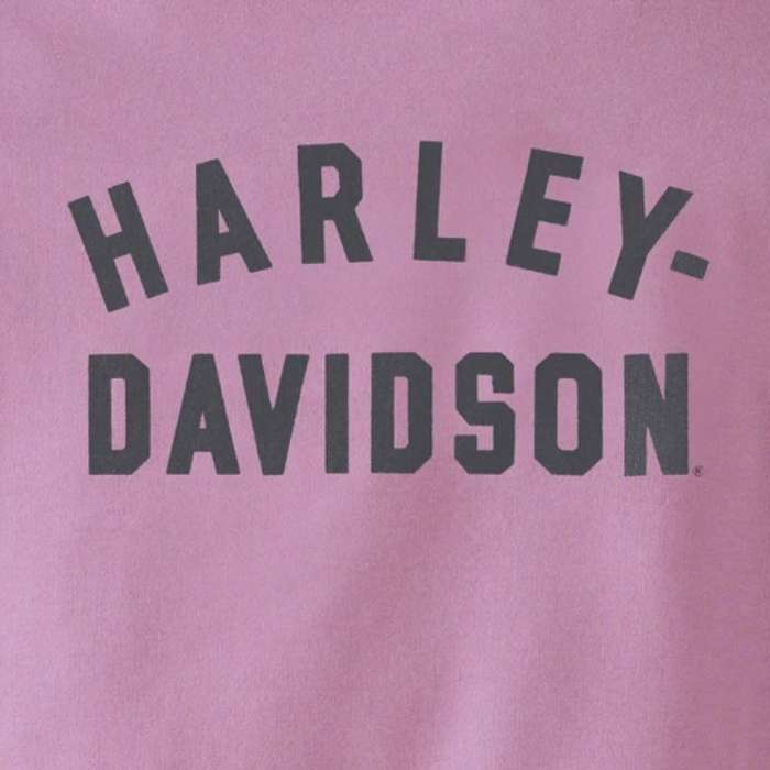 Women's Special Racer Front Zip Front Hoodie - Colorblocked - Lavender Herb - L