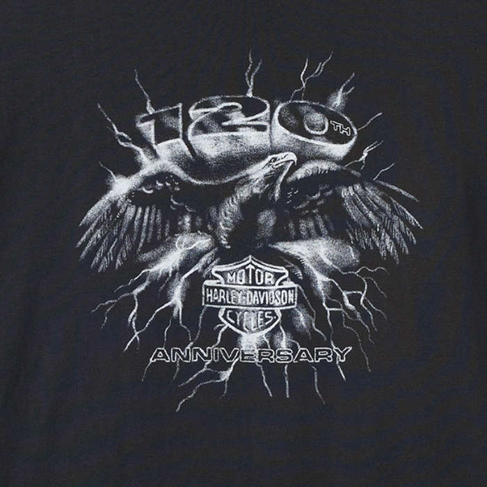 Women's 120th Anniversary Graphic Tee - L