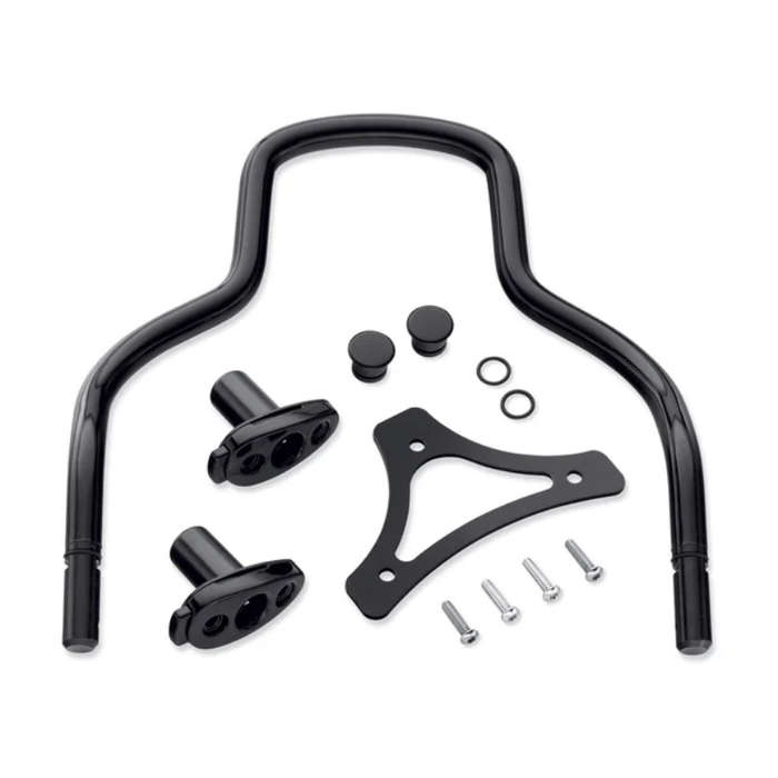 Quick-Release Sissy Bar Upright