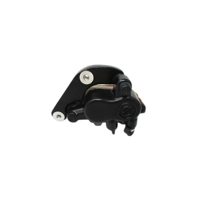 Rear Brake Caliper Assembly