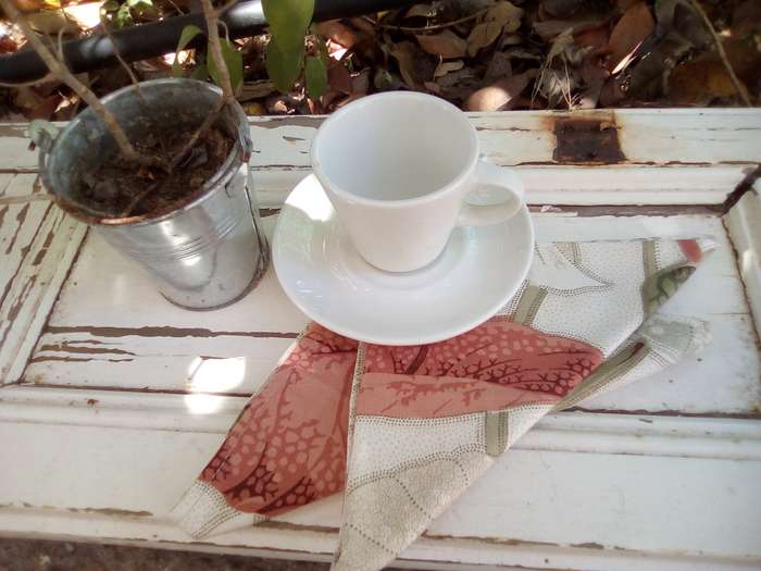 Vintage Cream Napkins