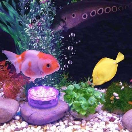 Submersible LED Waterproof Multi-color Battery Remote Control Decorative Ambient Lighting - Set of 2