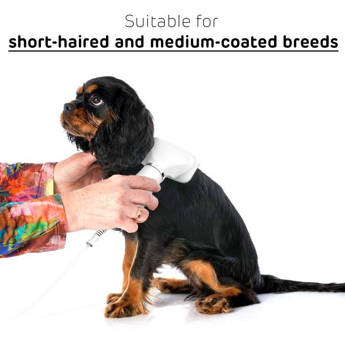 Pet Grooming Dryer