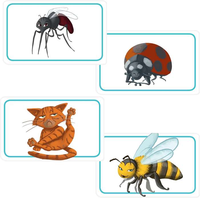 Concept Kids Animals - Cooperative Animal Guessing Game for Children!