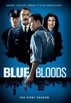 Blue Bloods - Season 1 (DVD, Boxed set)