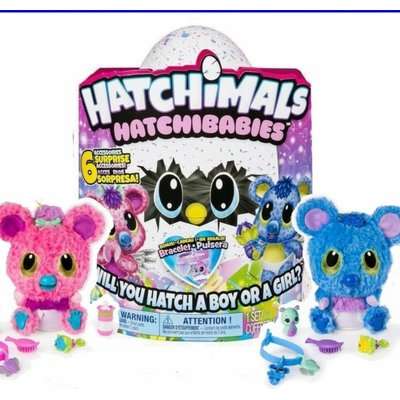 Hatchimals Hatchibabies Koalabee Wmx