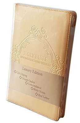 NIV Holy Bible (Gold) (Leather / fine binding)